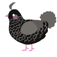 A black and grey chicken with a lace pattern