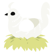 A white chicken with a half-bar pattern