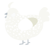 A white chicken with a speckle pattern