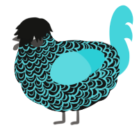 A black and aqua chicken with a double-lace pattern
