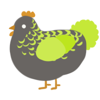 A grey and lime chicken with a half-lace pattern