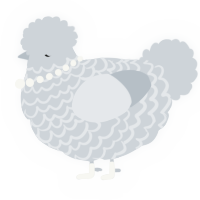A mist chicken with a lace pattern