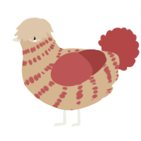 A beige and red chicken with a bar pattern