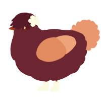 A spring and sea chicken