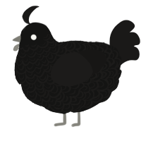 A black and sable chicken with a double-lace pattern