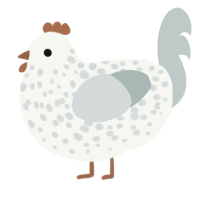 A white and silver chicken with a speckle pattern