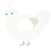 A white chicken with a lace pattern