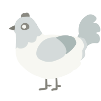 A white and silver chicken with a head pattern