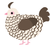 A cream and bark chicken with a lace pattern