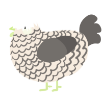 A cream and grey chicken with a lace pattern