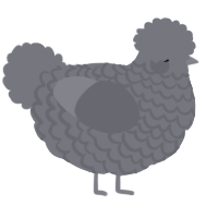 A ash chicken with a lace pattern
