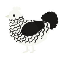 A white and sable chicken with a lace pattern