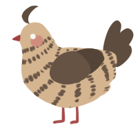 A beige and bark chicken with a bar pattern