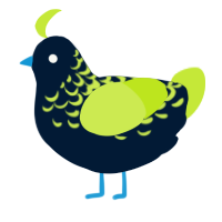 A tumblr and lime chicken with a half-lace pattern