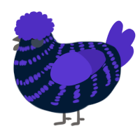 A tumblr and indigo chicken with a bar pattern
