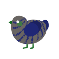 Cobalt, a grey and navy chicken with a bar pattern