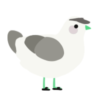 A white and ash chicken