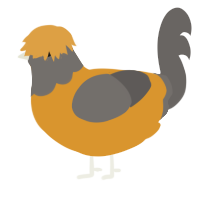 A orange and grey chicken with a head pattern