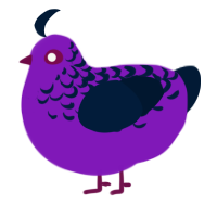 A violet and tumblr chicken with a half-lace pattern