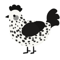 A white and sable chicken with a speckle pattern