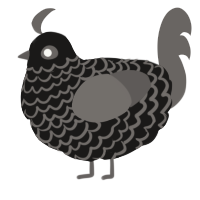 A sable and grey chicken with a lace pattern