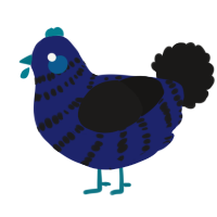 A navy and sable chicken with a bar pattern