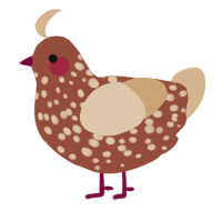 A russet and beige chicken with a speckle pattern