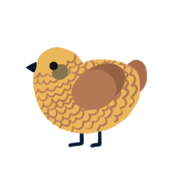 (unnamed), a honey and brown chicken with a lace pattern