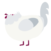 A white and mist chicken with a head pattern
