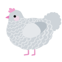 A mist chicken with a lace pattern