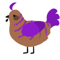 A brown and violet chicken with a half-bar pattern