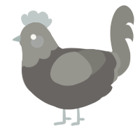 A grey and ash chicken with a head pattern