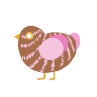 Foxtrot, a vermilion and pink chicken with a bar pattern