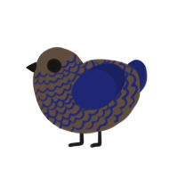 big eyed freak, a bark and navy chicken with a lace pattern