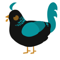 A black and teal chicken with a neck-band pattern