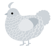 A mist chicken with a lace pattern
