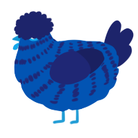 A ultramarine and navy chicken with a bar pattern