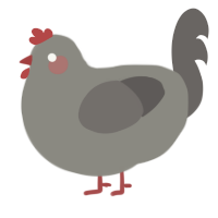 A ash and grey chicken