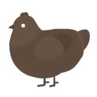A bark chicken with a head pattern