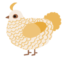 A cream and honey chicken with a lace pattern