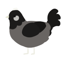 A grey and sable chicken with a head pattern