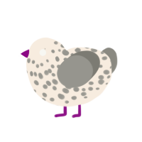 Pebble, a cream and ash chicken with a speckle pattern