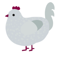 A mist and silver chicken with a speckle pattern