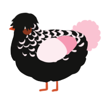 A black and rose chicken with a half-lace pattern
