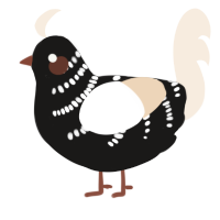 A sable and cream chicken with a half-bar pattern
