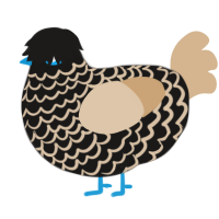 A sable and beige chicken with a lace pattern
