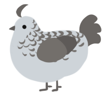 A mist and grey chicken with a half-lace pattern