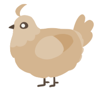 A beige chicken with a head pattern