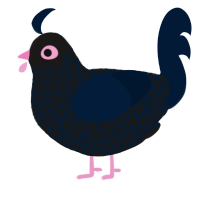 A sable and tumblr chicken with a double-lace pattern