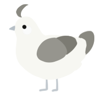A white and ash chicken
